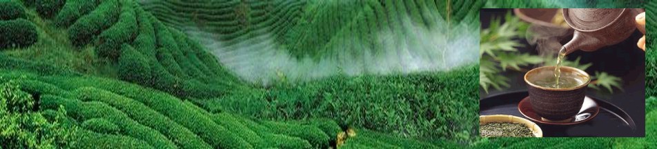 �gӭ�����R�������h�����B(t��i)��I(y��)�l(f��)չ���޹�˾