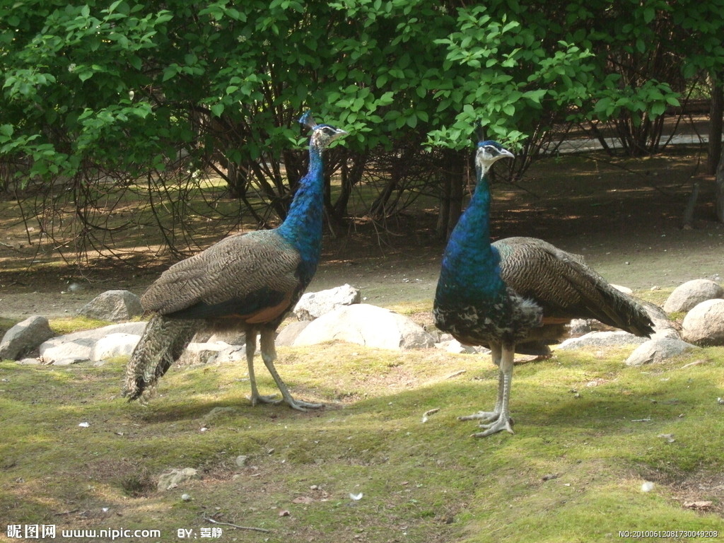 �{(l��n)��ȸ