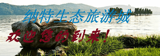 �gӭ�����R����ʡ�{�����B(t��i)�l(f��)չ���޹�˾