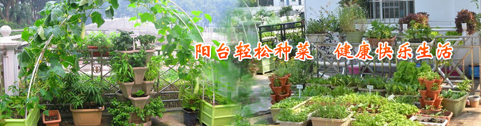 �gӭ�����R����ʡ�{�����B(t��i)�l(f��)չ���޹�˾