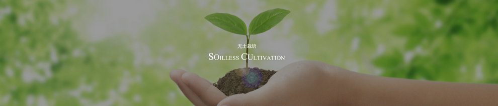 �gӭ�����R����ʡ�{�����B(t��i)�l(f��)չ���޹�˾